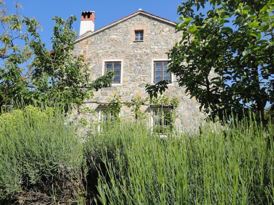 A Lovely House In Vipava Valley Eksteriør bilde